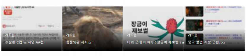 개드립.png